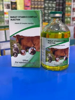 Vitamin B Complex Injection 100ml