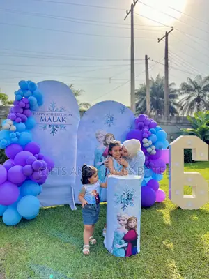Frozen Themed Birthday Decor