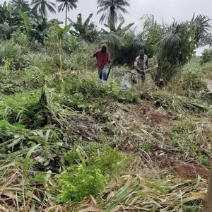 1 Acre Land for Sale at Abeokuta Expressway (60x120 Per Plot)