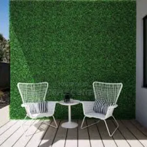 Artificial Grass Floor and Wall