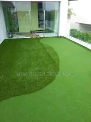 Grass Carpet for Wall and Floor