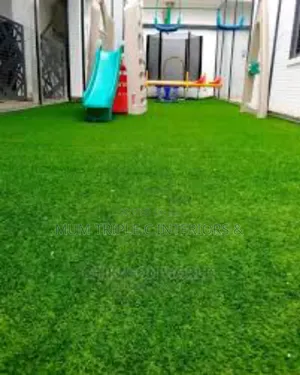 Carpet Grass for Interior and Exterior Designs