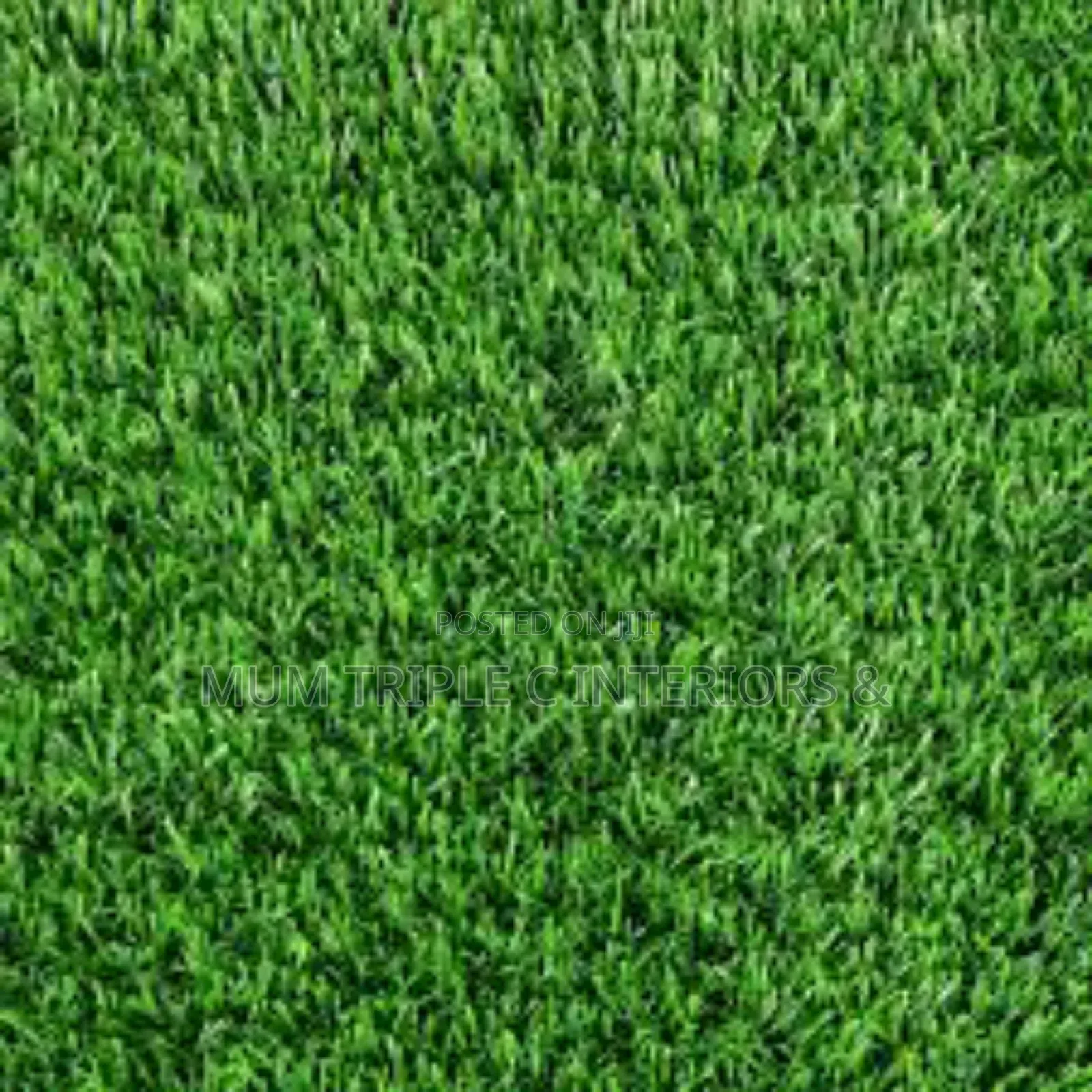 Grass Carpet With Thick Base