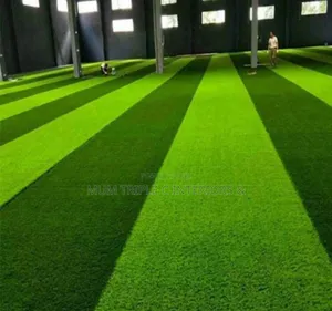 Artificial Grass Carpet For Sale