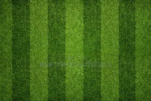 Multiple Colours 30mm Artificial Grass
