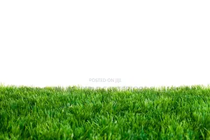 40mm Top Quality Football Pitch TURF Grass