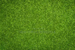 Artificial Grass Synthetic Standard 25mm