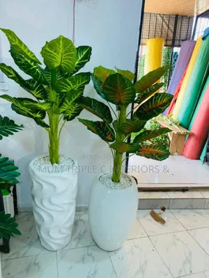 Magnificent Flower For Interior Decore