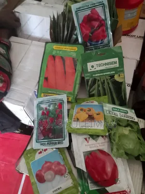 Vegetables Seeds