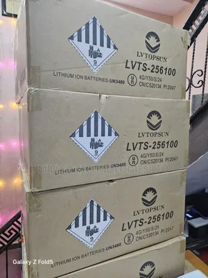 Lvtopsun Lithium Ion Batteries 2.5kw