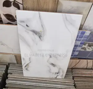 25x40 Wall Tiles