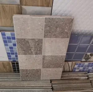 25x40 Wall Tiles