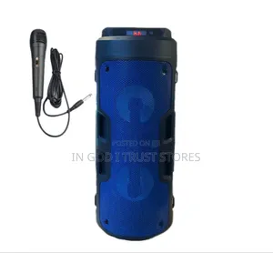 Portable BT FM Radio Outdoor Speaker RGB LED Lighting Remote