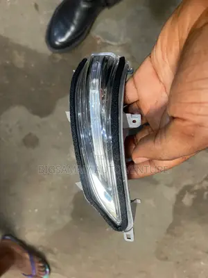 Lexus GX 460 Side Mirror Pointer / Light