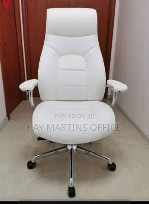 Executive Leather Chair With Different Color.