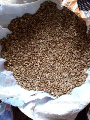 Iru Ekiti ( Locust Beans)