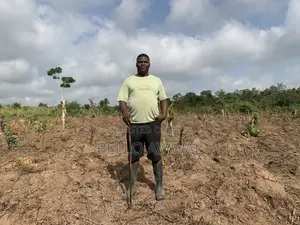 Farm Manager/Consultant