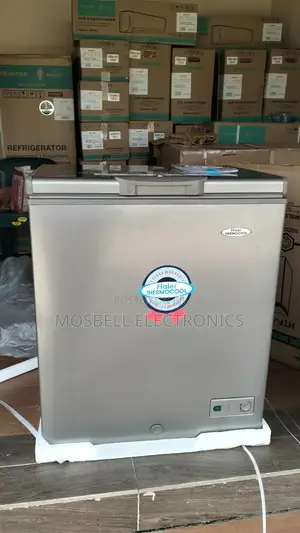 Haier Thermocool 150litres Silver