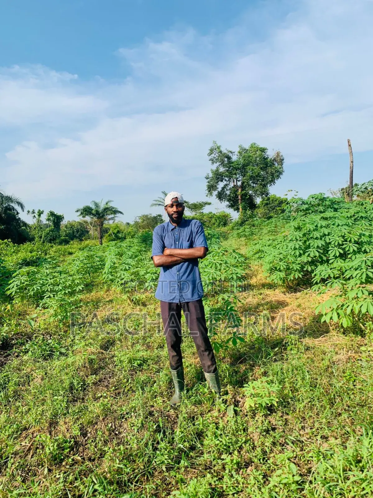 Farming Consultant