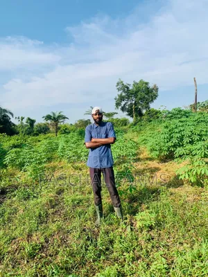 Farming Consultant