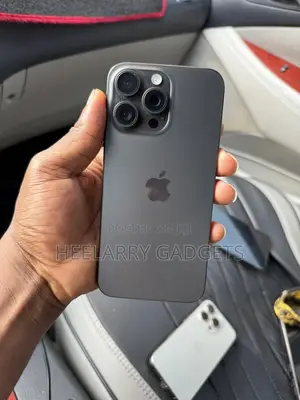Apple iPhone 15 Pro Max 256 GB Gray