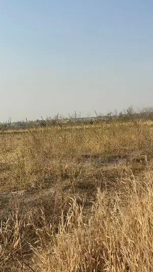 3000 Acres of Land for Sale in Abeokuta North Ogun State