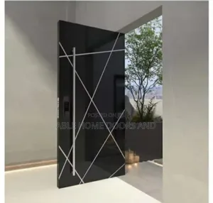 Pivot Door Black  With Silver Line