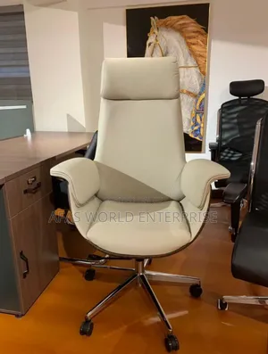 Executive Chair for Office Use