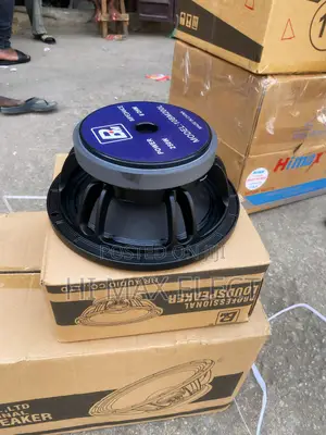 10inch Bm Speaker