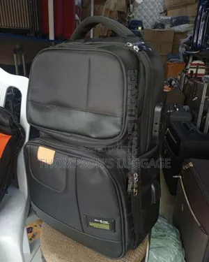 Biaowang Lock Backpack