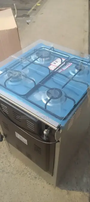 Maxi Standing Cooker Automatic Spark 4b