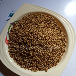 Coriander Seeds (1kg)