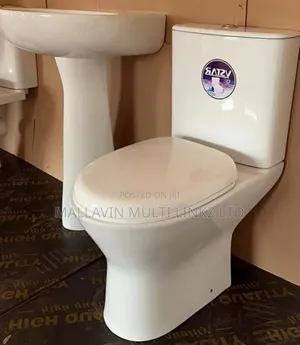 Complete Set Both WC And Basin