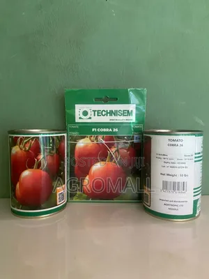 Cobra F1 Tomato