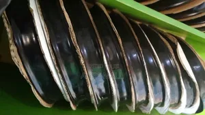 Irrigation Drip Kit