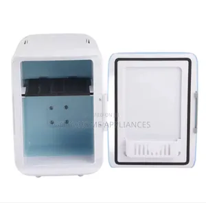 4l Car Cooler/Fridge