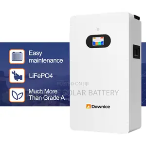 Dawnice 48 Volt 300amp Wall Mounted Lifepo4 Batteries System