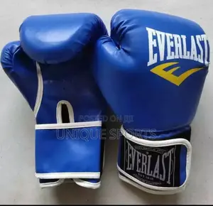 Everlast Boxing Gloves