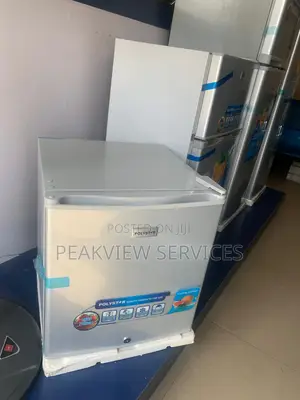 Best Mini Refrigerator for Small Spaces! PV- BS81SL Polystar