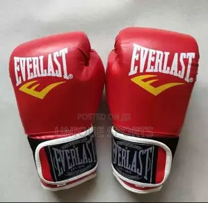 Everlast Boxing Gloves