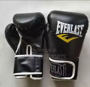 Everlast Boxing Gloves