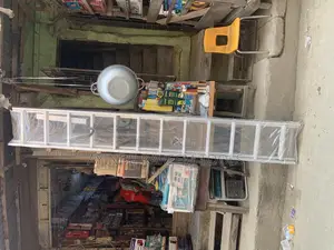 Extension Ladder 150kg (12steps by 2)