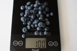 Blueberry Fruit 100g