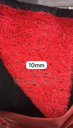 Colored Carpet Grass Available With Installation