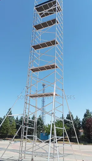 10 Meters Heavy Duty/Industrial Scaffolding Ladder
