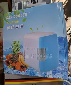 4 Litres Car Fridge Cooler