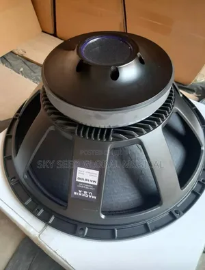 18 Inches Big Magnet Speaker