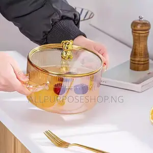 Borosilicate Induction Cooking Pot