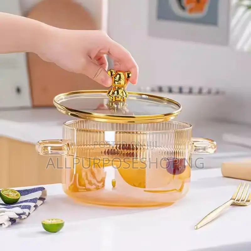 Borosilicate Induction Cooking Pot