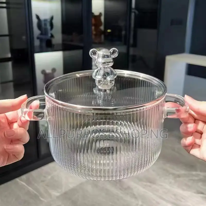 Borosilicate Induction Cooking Pot